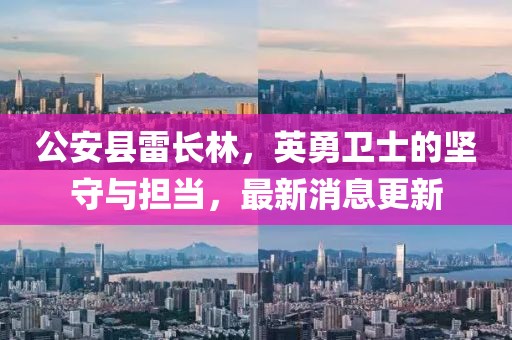 公安縣雷長林，英勇衛(wèi)士的堅守與擔(dān)當(dāng)，最新消息更新