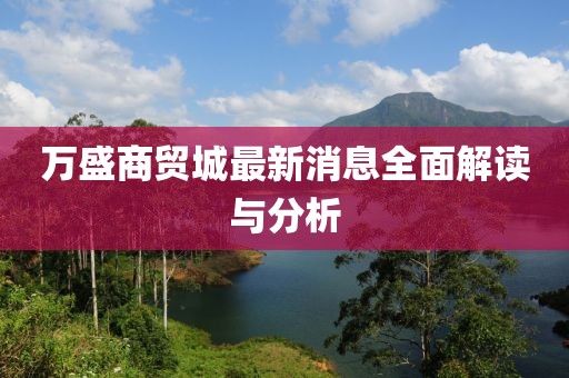 萬盛商貿(mào)城最新消息全面解讀與分析