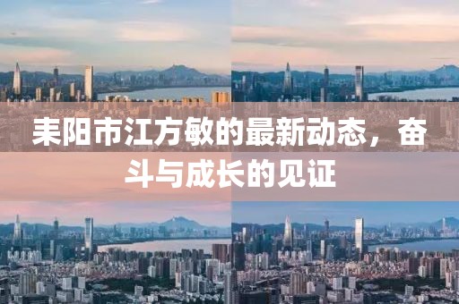 耒陽(yáng)市江方敏的最新動(dòng)態(tài)，奮斗與成長(zhǎng)的見(jiàn)證