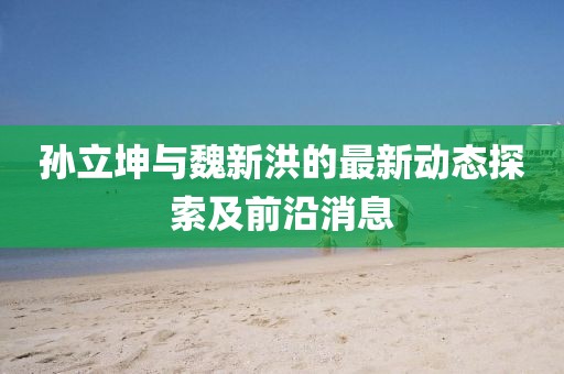 孫立坤與魏新洪的最新動(dòng)態(tài)探索及前沿消息