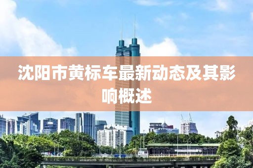 沈陽(yáng)市黃標(biāo)車(chē)最新動(dòng)態(tài)及其影響概述