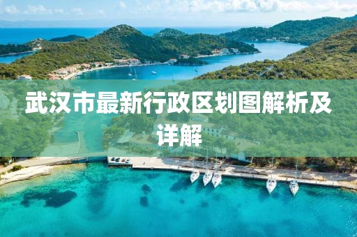 武漢市最新行政區(qū)劃圖解析及詳解