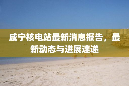 咸寧核電站最新消息報(bào)告，最新動(dòng)態(tài)與進(jìn)展速遞