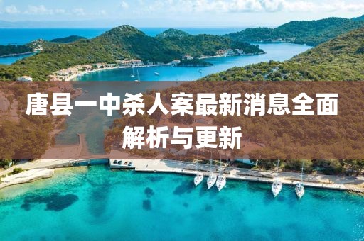 唐縣一中殺人案最新消息全面解析與更新