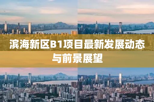 濱海新區(qū)B1項目最新發(fā)展動態(tài)與前景展望