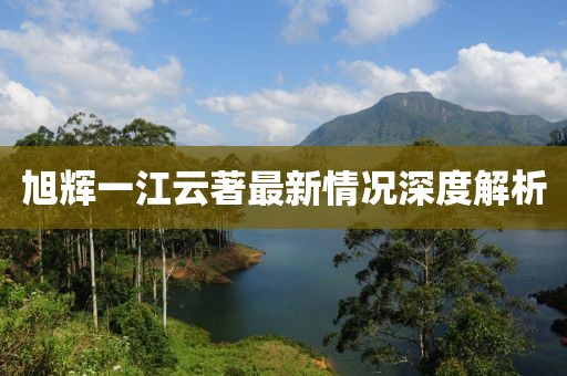 旭輝一江云著最新情況深度解析