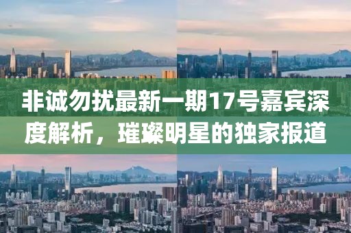 非誠勿擾最新一期17號嘉賓深度解析，璀璨明星的獨(dú)家報道