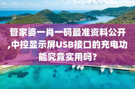 管家婆一肖一碼最準(zhǔn)資料公開,中控顯示屏USB接口的充電功能究竟實(shí)用嗎？