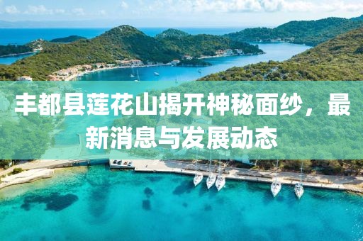 豐都縣蓮花山揭開神秘面紗，最新消息與發(fā)展動(dòng)態(tài)