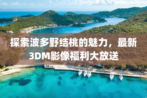 探索波多野結(jié)桃的魅力，最新3DM影像福利大放送