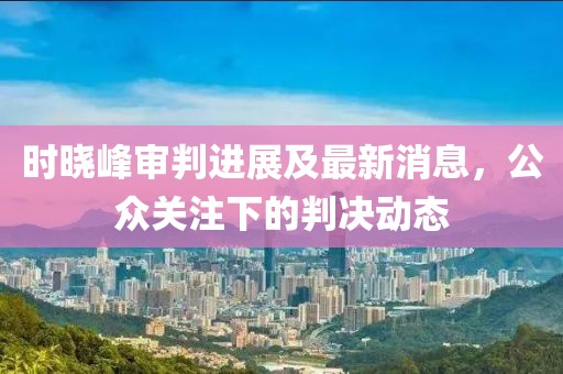 時(shí)曉峰審判進(jìn)展及最新消息，公眾關(guān)注下的判決動(dòng)態(tài)