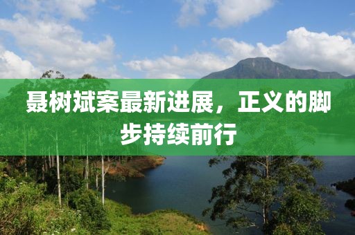 聶樹斌案最新進(jìn)展，正義的腳步持續(xù)前行