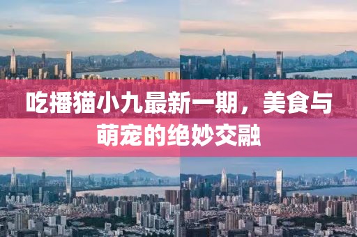截了郵址 第14頁(yè)