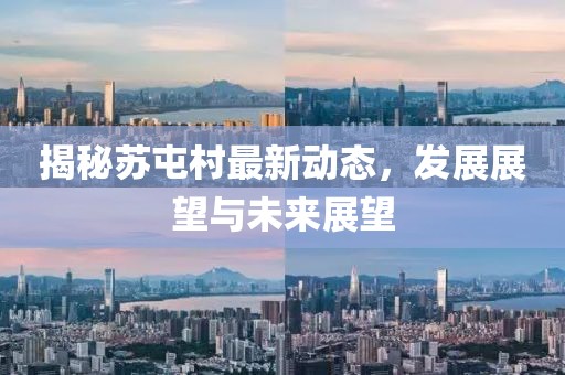 揭秘蘇屯村最新動(dòng)態(tài)，發(fā)展展望與未來(lái)展望