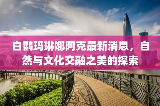 白鸛瑪琳娜阿克最新消息，自然與文化交融之美的探索