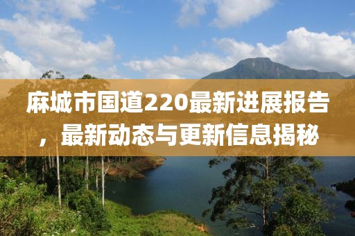 麻城市國道220最新進展報告，最新動態(tài)與更新信息揭秘