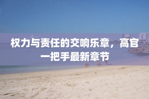 權(quán)力與責(zé)任的交響樂章，高官一把手最新章節(jié)