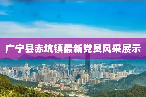 廣寧縣赤坑鎮(zhèn)最新黨員風(fēng)采展示