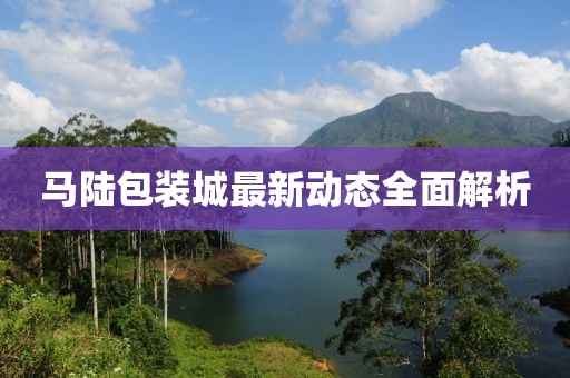 馬陸包裝城最新動態(tài)全面解析