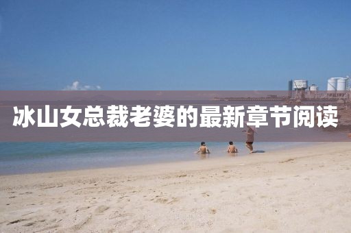 冰山女總裁老婆的最新章節(jié)閱讀