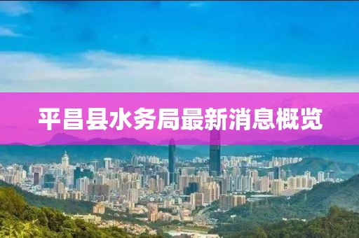 亮明之王 第13頁