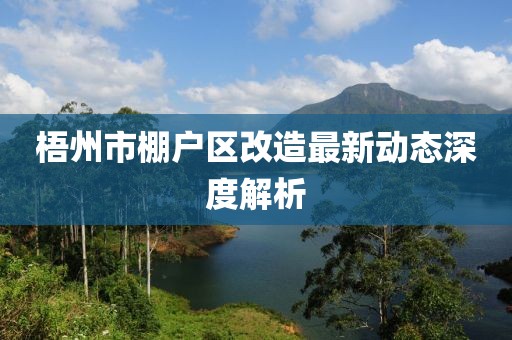 梧州市棚戶區(qū)改造最新動態(tài)深度解析