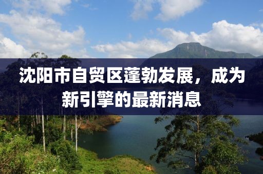 沈陽市自貿(mào)區(qū)蓬勃發(fā)展，成為新引擎的最新消息