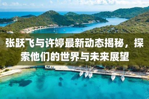 張躍飛與許婷最新動(dòng)態(tài)揭秘，探索他們的世界與未來(lái)展望