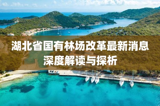 湖北省國有林場改革最新消息深度解讀與探析