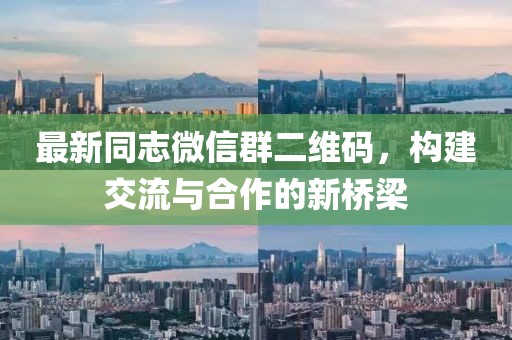 最新同志微信群二維碼，構(gòu)建交流與合作的新橋梁