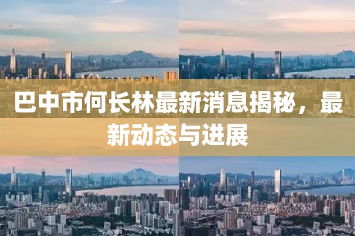 巴中市何長林最新消息揭秘，最新動態(tài)與進展
