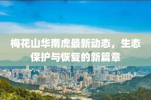 梅花山華南虎最新動態(tài)，生態(tài)保護與恢復的新篇章