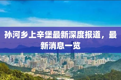 孫河鄉(xiāng)上辛堡最新深度報道，最新消息一覽