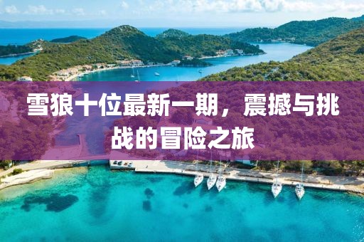 雪狼十位最新一期，震撼與挑戰(zhàn)的冒險(xiǎn)之旅
