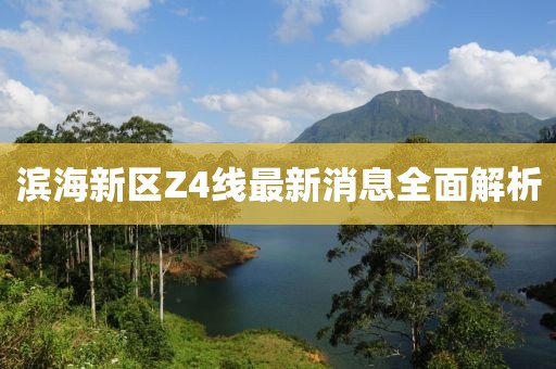 濱海新區(qū)Z4線最新消息全面解析