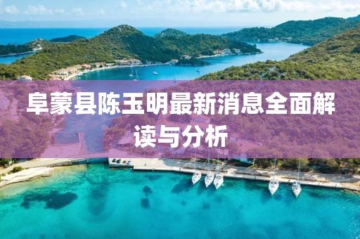 阜蒙縣陳玉明最新消息全面解讀與分析