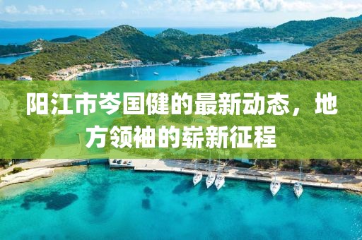 陽江市岑國(guó)健的最新動(dòng)態(tài)，地方領(lǐng)袖的嶄新征程