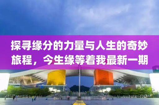 探尋緣分的力量與人生的奇妙旅程，今生緣等著我最新一期