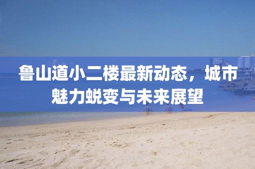 魯山道小二樓最新動(dòng)態(tài)，城市魅力蛻變與未來展望