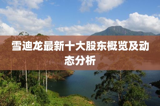 雪迪龍最新十大股東概覽及動(dòng)態(tài)分析