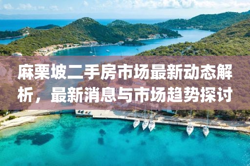 麻栗坡二手房市場最新動態(tài)解析，最新消息與市場趨勢探討
