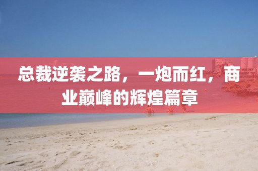 總裁逆襲之路，一炮而紅，商業(yè)巔峰的輝煌篇章