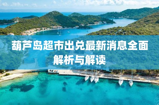 葫蘆島超市出兌最新消息全面解析與解讀