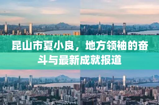 昆山市夏小良，地方領(lǐng)袖的奮斗與最新成就報(bào)道