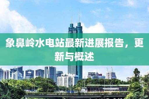 象鼻嶺水電站最新進(jìn)展報(bào)告，更新與概述