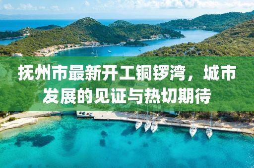 撫州市最新開工銅鑼灣，城市發(fā)展的見證與熱切期待