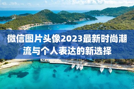 微信圖片頭像2023最新時(shí)尚潮流與個(gè)人表達(dá)的新選擇