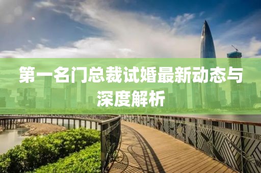 第一名門總裁試婚最新動(dòng)態(tài)與深度解析