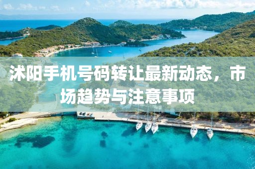 沭陽手機(jī)號(hào)碼轉(zhuǎn)讓最新動(dòng)態(tài)，市場趨勢(shì)與注意事項(xiàng)
