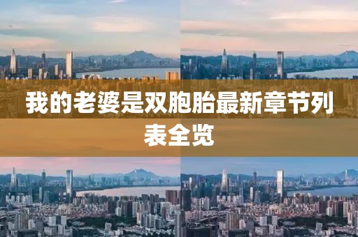 我的老婆是雙胞胎最新章節(jié)列表全覽